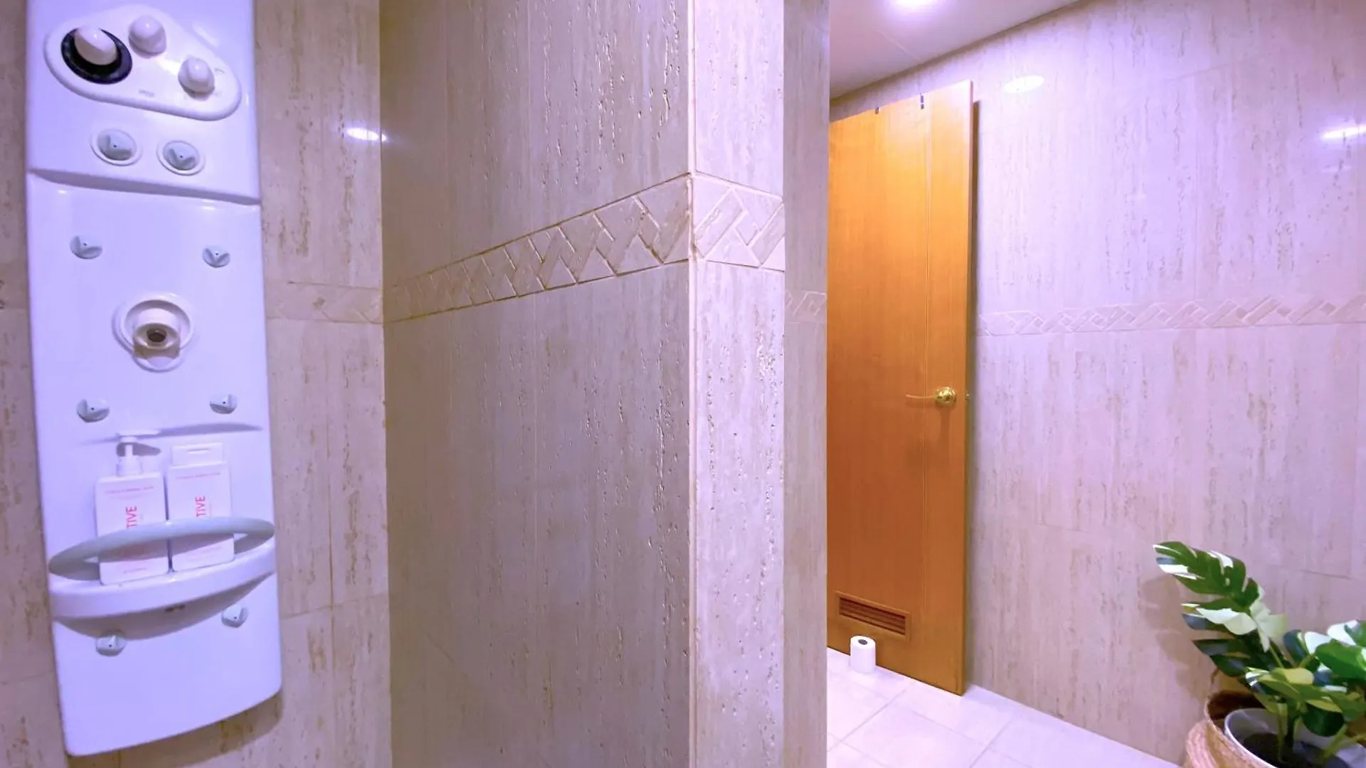 Tropicalidays Loft Ejecutivo Apartment Santa Cruz de Tenerife